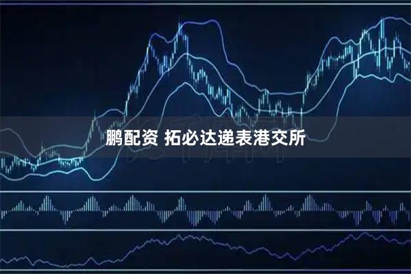 鹏配资 拓必达递表港交所