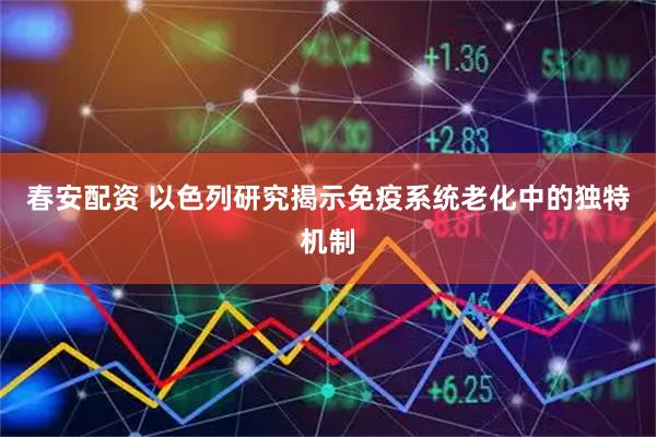 春安配资 以色列研究揭示免疫系统老化中的独特机制