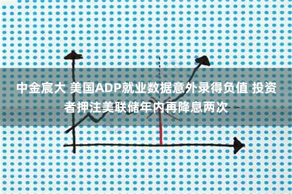 中金宸大 美国ADP就业数据意外录得负值 投资者押注美联储年内再降息两次